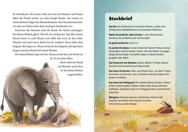 Produktbild: Gute Nacht, kleiner Koala &ndash; 20 tierische Einschlafgeschichten