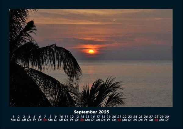 Produktbild: Palmentraum 2025 Fotokalender DIN A4