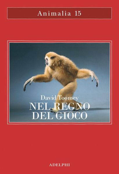 Produktbild: Nel regno del gioco. Quello che ci rivelano sulla vita i polpi che giocano a palla, le scimmie che si lanciano dagli alberi, gli elefanti che fanno lo