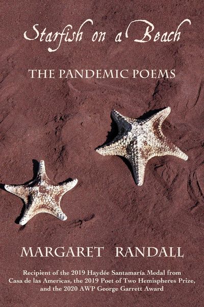 Produktbild: Starfish on a Beach