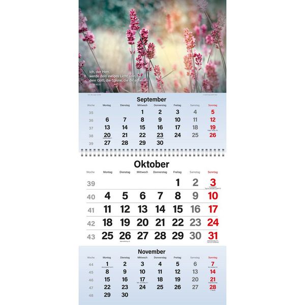 Produktbild: Gott segne meinen Tag 2027