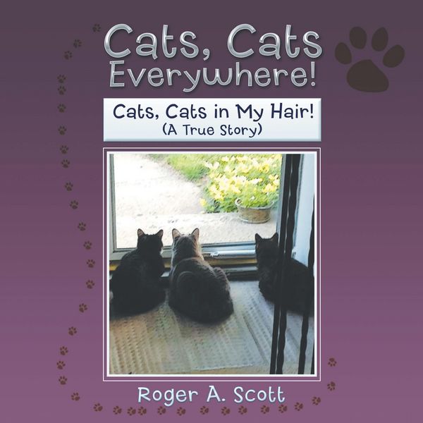Produktbild: Cats, Cats Everywhere!