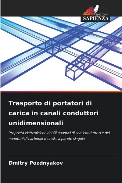 Produktbild: Trasporto di portatori di carica in canali conduttori unidimensionali