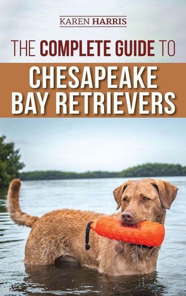 Produktbild: The Complete Guide to Chesapeake Bay Retrievers