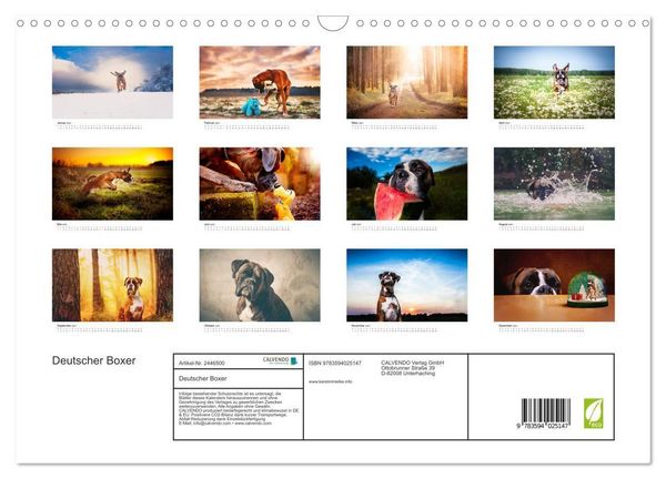 Produktbild: Deutscher Boxer (Wandkalender 2027 DIN A3 quer), CALVENDO Monatskalender