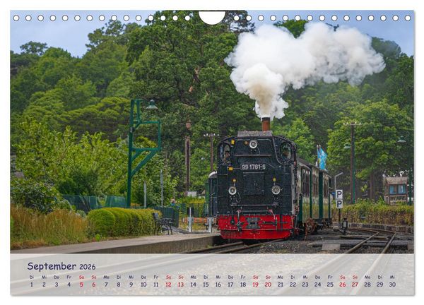Produktbild: R&uuml;genliebe (Wandkalender 2026 DIN A4 quer), CALVENDO Monatskalender
