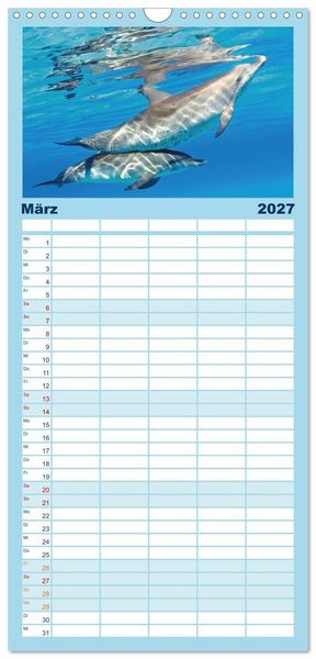 Produktbild: Familienplaner 2027 - Delfine: Elegante Wellenreiter mit 5 Spalten (Wandkalender, 21 x 45 cm) CALVENDO