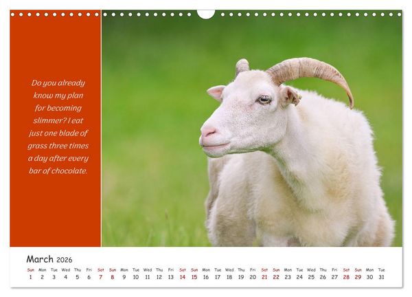 Produktbild: Animals like humour (Wall Calendar 2026 DIN A3 landscape), CALVENDO 12 Month Wall Calendar
