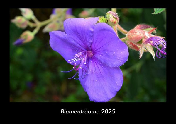 Produktbild: Blumentr&auml;ume 2025 Fotokalender DIN A3