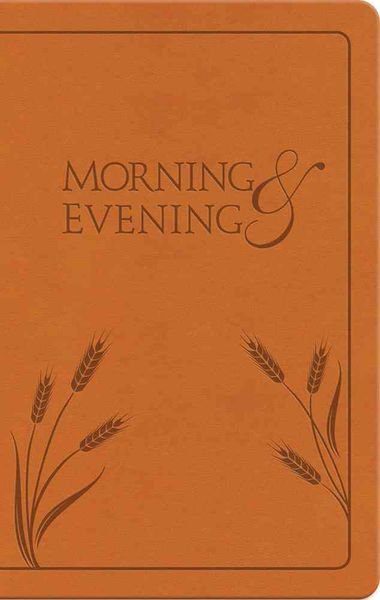 Produktbild: Morning and Evening