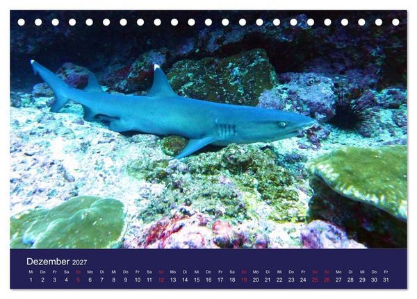 Produktbild: Wunderwelt Korallenriffe (Tischkalender 2027 DIN A5 quer), CALVENDO Monatskalender