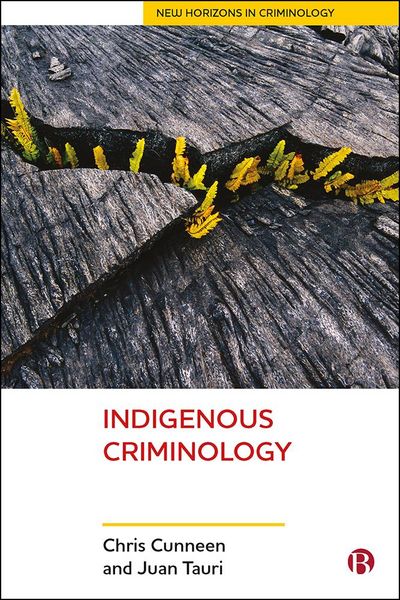 Produktbild: Indigenous Criminology