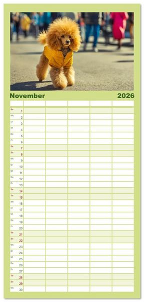 Produktbild: Familienplaner 2026 - Pudel in der Stadt. Urbane Momente voller Charme und Lebensfreude mit 5 Spalten (Wandkalender, 21 x 45 cm) CALVENDO