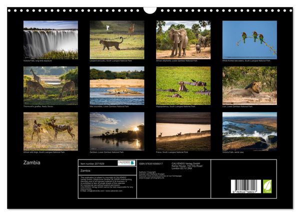 Produktbild: Zambia (Wall Calendar 2026 DIN A3 landscape), CALVENDO 12 Month Wall Calendar