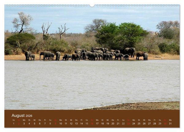 Produktbild: Namibia - faszinierende Menschen und Tiere (hochwertiger Premium Wandkalender 2026 DIN A2 quer), Kunstdruck in Hochglanz