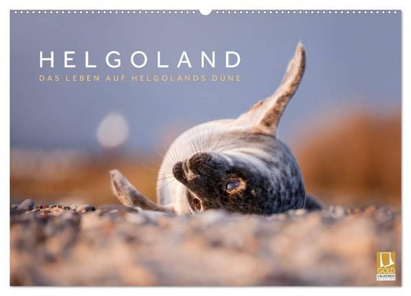 Helgoland - Das Leben auf der Düne Helgolands (Wandkalender 2026 DIN A2 quer), CALVENDO Monatskalender
