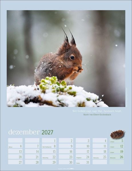 Produktbild: Eichh&ouml;rnchen Kalender 2027