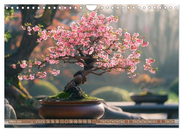 Produktbild: Bonsai meditativ (Wandkalender 2026 DIN A4 quer), CALVENDO Monatskalender