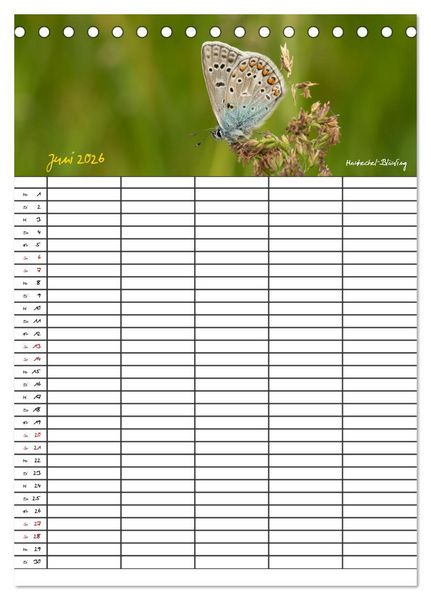 Produktbild: Schmetterlinge in Bayern (Tischkalender 2026 DIN A5 hoch), CALVENDO Monatskalender