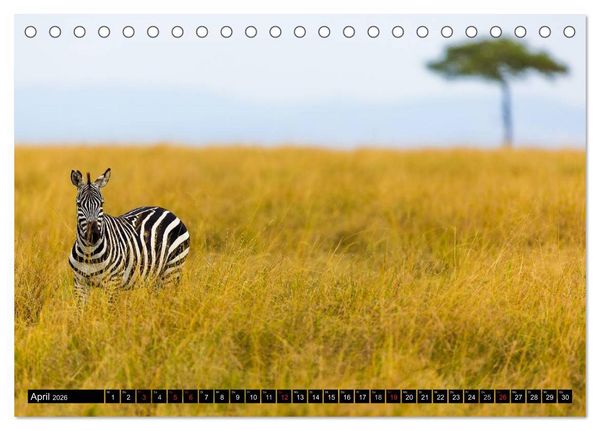 Produktbild: Masai Mara 2026 (Tischkalender 2026 DIN A5 quer), CALVENDO Monatskalender