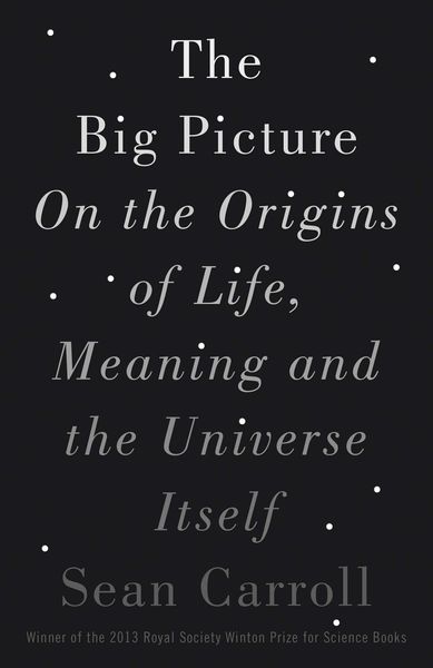 Cover of the book The Big Picture