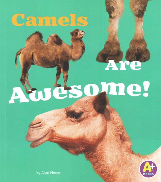 Produktbild: Camels Are Awesome