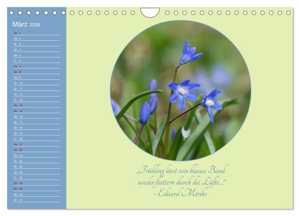 Produktbild: Flora in royalem Blau (Wandkalender 2026 DIN A4 quer), CALVENDO Monatskalender