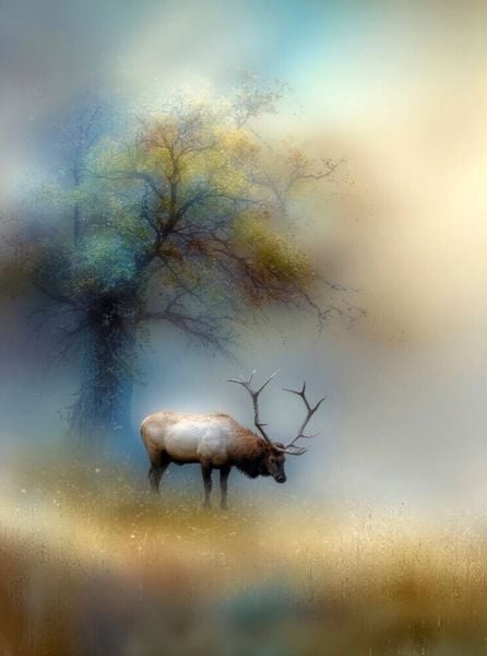 CALVENDO Puzzle Der Hirsch - der König des Waldes verharrt leise im Nebel | 2000 Teile Lege-Größe 90x67cm Foto-Puzzle für glückliche Stunden, Sonstige
