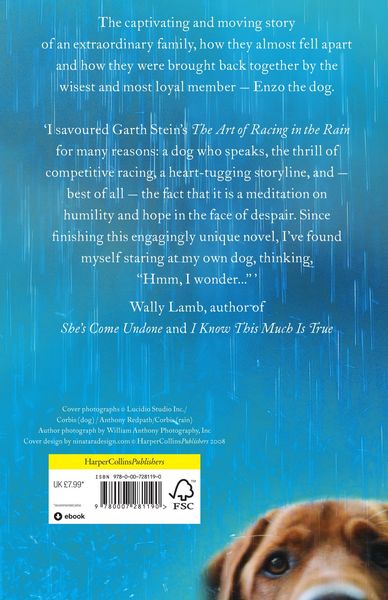 Produktbild: The Art of Racing in the Rain