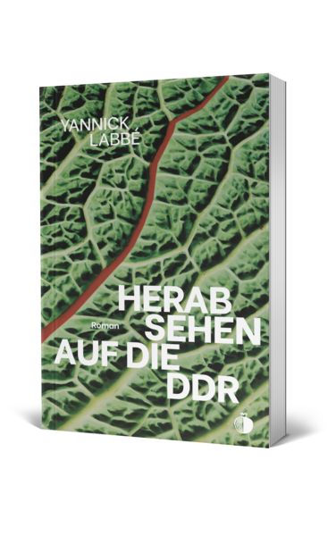 Produktbild: Herabsehen auf die DDR