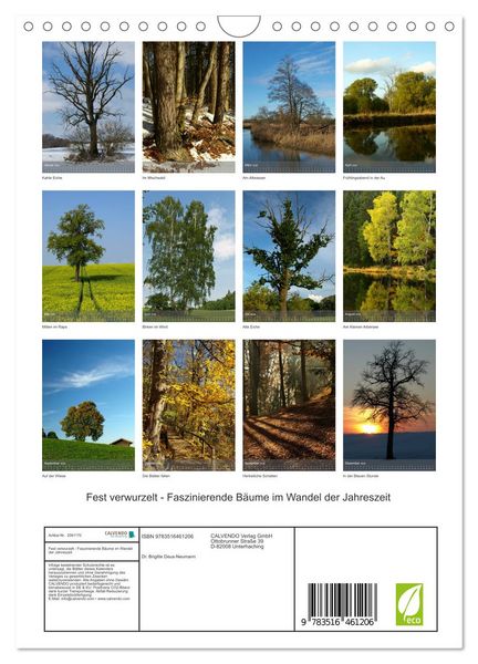 Produktbild: Fest verwurzelt - Faszinierende B&auml;ume im Wandel der Jahreszeit (Wandkalender 2026 DIN A4 hoch), CALVENDO Monatskalender