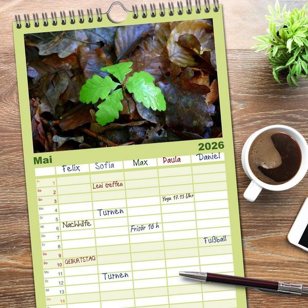 Produktbild: Familienplaner 2026 - Wald und Baum 2026 mit 5 Spalten (Wandkalender, 21 x 45 cm) CALVENDO