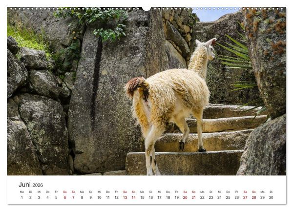 Produktbild: Macchu Picchu (Wandkalender 2026 DIN A2 quer), CALVENDO Monatskalender