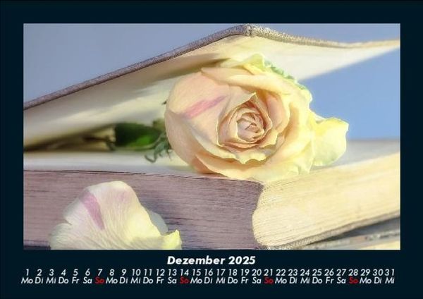 Produktbild: Rosentraum 2025 Fotokalender DIN A5
