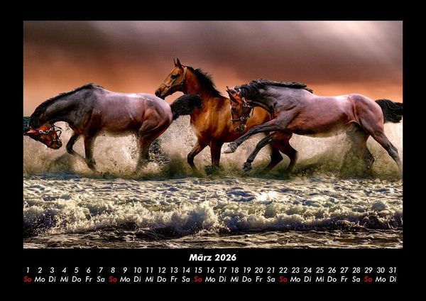 Produktbild: Pferdegefl&uuml;ster 2026 Fotokalender DIN A3