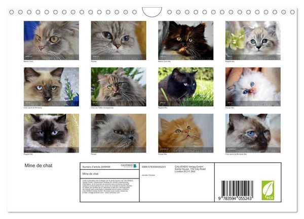 Produktbild: Mine de chat (Calendrier mural 2027 DIN A4 vertical), CALVENDO calendrier mensuel