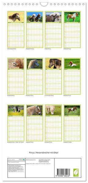 Produktbild: Familienplaner 2027 - Ponys. Herzensbrecher mit Grips mit 5 Spalten (Wandkalender, 21 x 45 cm) CALVENDO