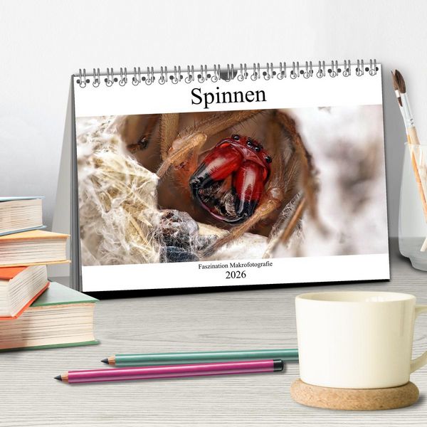 Produktbild: Faszination Makrofotografie: Spinnen (Tischkalender 2026 DIN A5 quer), CALVENDO Monatskalender