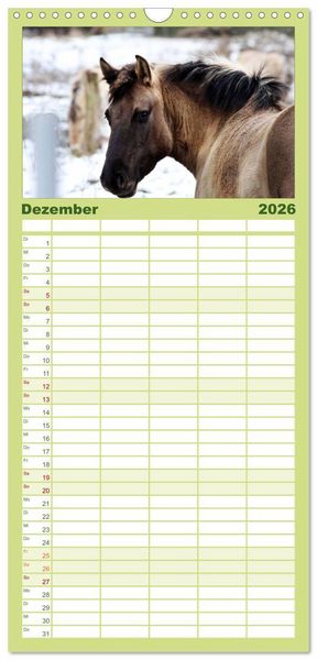 Produktbild: Familienplaner 2026 - Faszination Pferde mit 5 Spalten (Wandkalender, 21 x 45 cm) CALVENDO