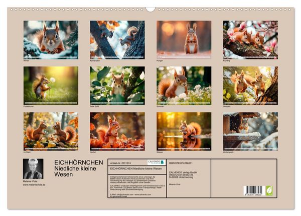 Produktbild: EICHH&Ouml;RNCHEN Niedliche kleine Wesen (Wandkalender 2026 DIN A2 quer), CALVENDO Monatskalender