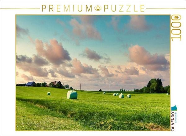 CALVENDO Puzzle Wiese bei Willmatshofen | 1000 Teile Lege-Größe 64 × 48 cm Foto-Puzzle für glückliche Stunden