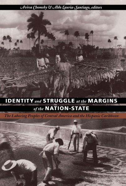 Produktbild: Identity and Struggle at the Margins of the Nation-State