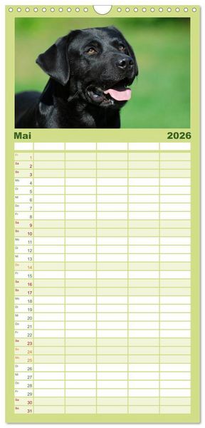 Produktbild: Familienplaner 2026 - Labrador Retriever 2026 mit 5 Spalten (Wandkalender, 21 x 45 cm) CALVENDO