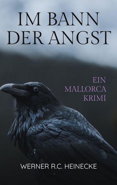 Produktbild: Im Bann der Angst