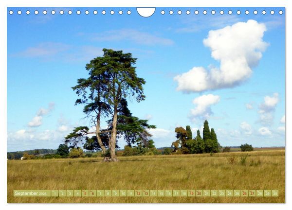 Produktbild: Uruguay - Land of the gauchos (Wall Calendar 2026 DIN A4 landscape), CALVENDO 12 Month Wall Calendar