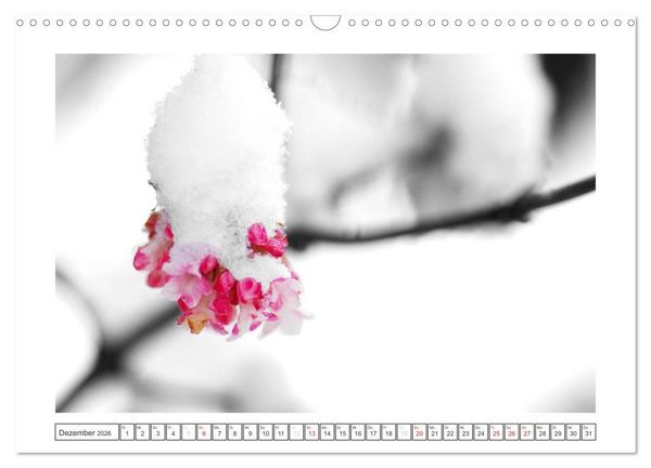 Produktbild: Natur schwarz - wei&szlig; Malerei (Wandkalender 2026 DIN A3 quer), CALVENDO Monatskalender