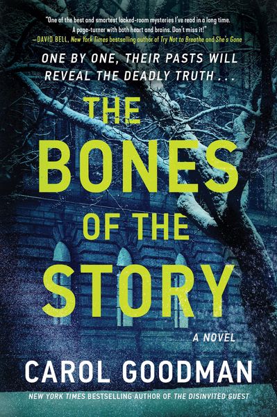 Produktbild: The Bones of the Story
