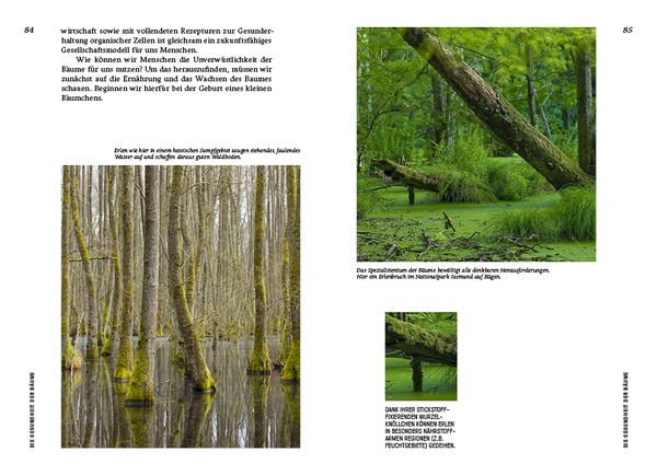 Produktbild: Strategien der Natur