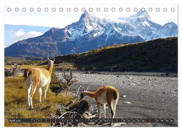 Produktbild: Patagonien - Parques Torres del Paine und Los Glaciares (Tischkalender 2026 DIN A5 quer), CALVENDO Monatskalender