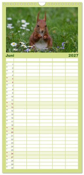 Produktbild: Familienplaner 2027 - Mit dem Eichh&ouml;rnchen durchs Jahr mit 5 Spalten (Wandkalender, 21 x 45 cm) CALVENDO